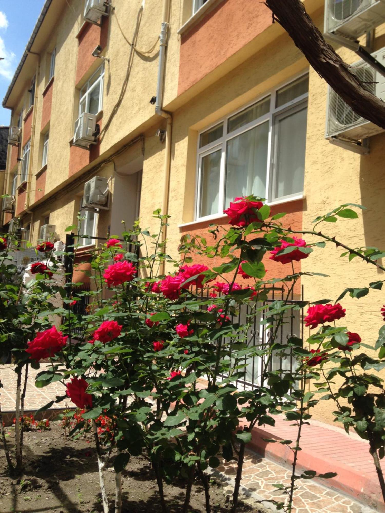 Sultanahmet Deluxe Yilmaz Apart Isztambul Kültér fotó